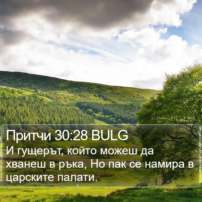 Притчи 30:28 BULG Bible Study