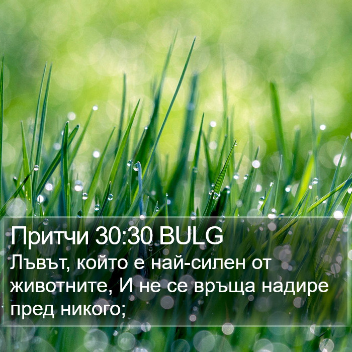 Притчи 30:30 BULG Bible Study