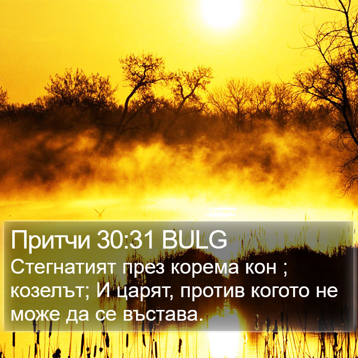 Притчи 30:31 BULG Bible Study