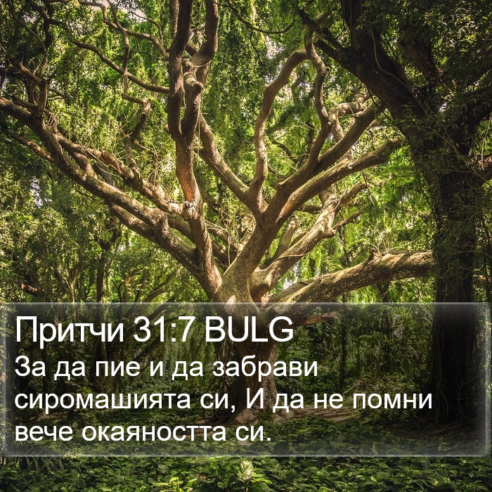 Притчи 31:7 BULG Bible Study