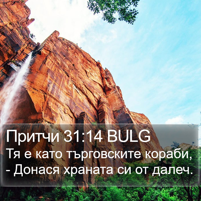 Притчи 31:14 BULG Bible Study