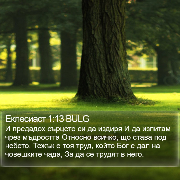 Еклесиаст 1:13 BULG Bible Study