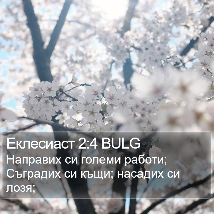 Еклесиаст 2:4 BULG Bible Study