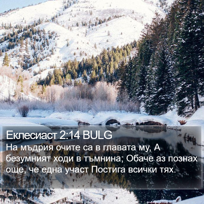 Еклесиаст 2:14 BULG Bible Study