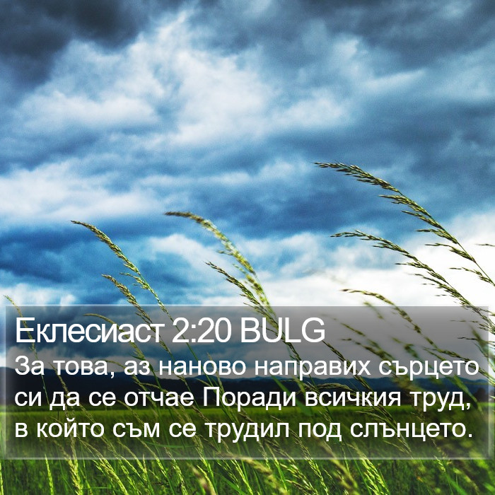 Еклесиаст 2:20 BULG Bible Study