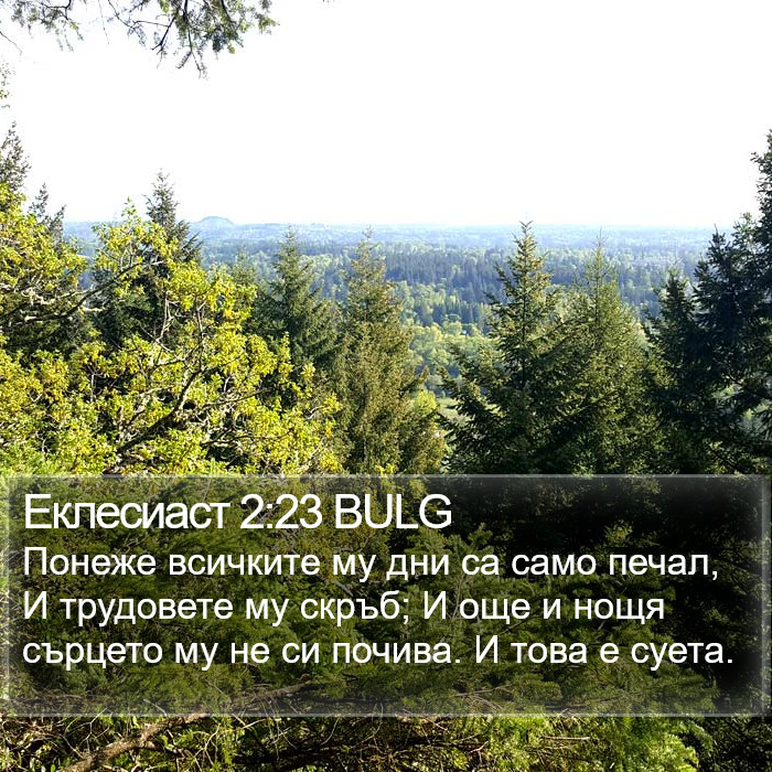 Еклесиаст 2:23 BULG Bible Study