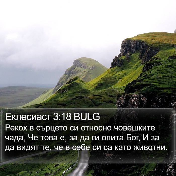 Еклесиаст 3:18 BULG Bible Study