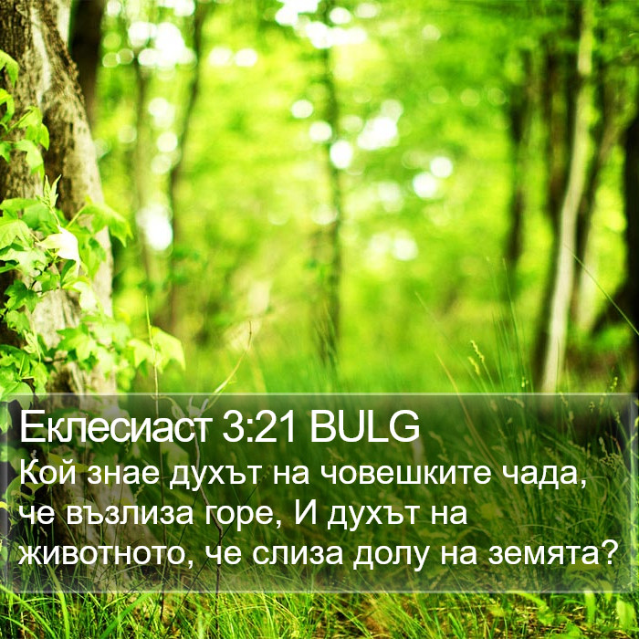 Еклесиаст 3:21 BULG Bible Study