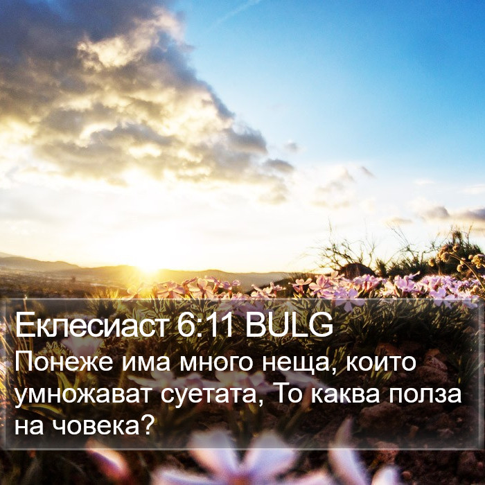 Еклесиаст 6:11 BULG Bible Study