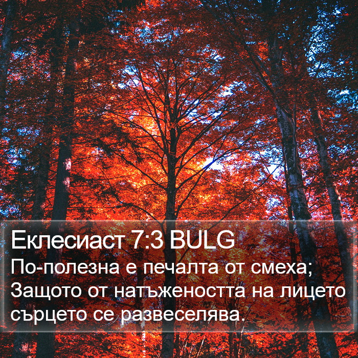 Еклесиаст 7:3 BULG Bible Study