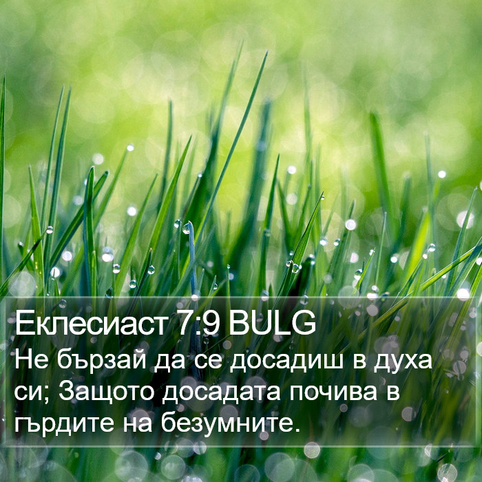 Еклесиаст 7:9 BULG Bible Study