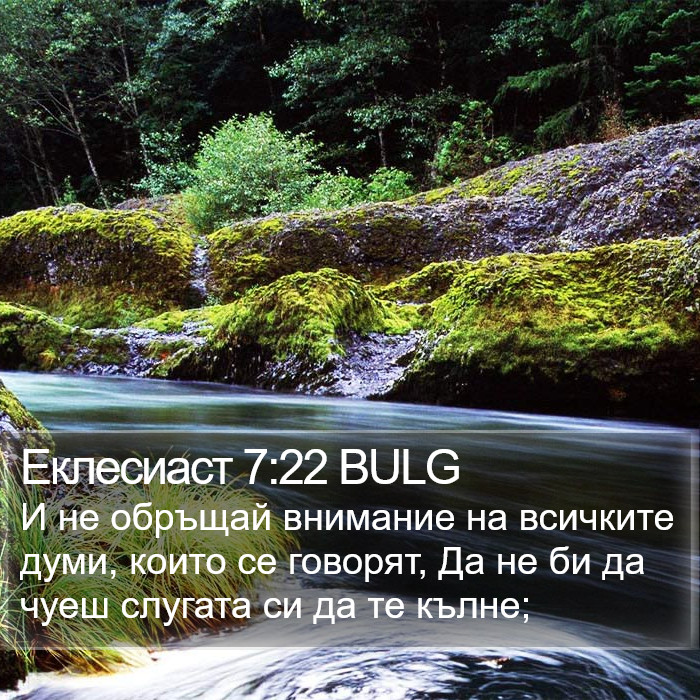 Еклесиаст 7:22 BULG Bible Study