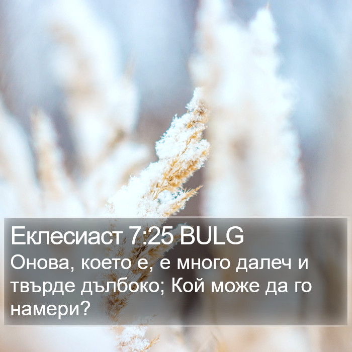 Еклесиаст 7:25 BULG Bible Study