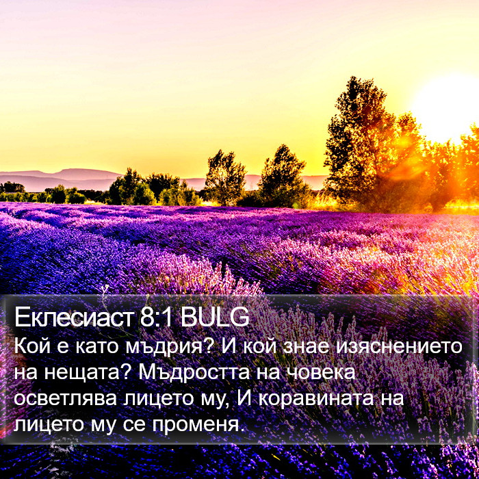 Еклесиаст 8:1 BULG Bible Study