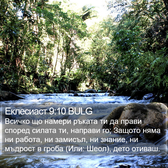 Еклесиаст 9:10 BULG Bible Study