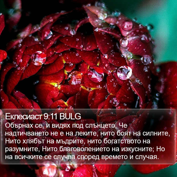 Еклесиаст 9:11 BULG Bible Study