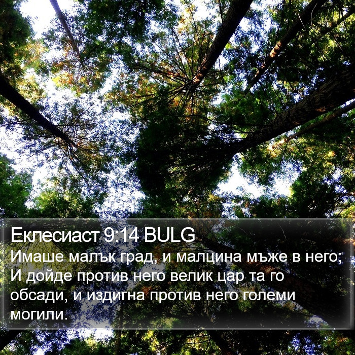 Еклесиаст 9:14 BULG Bible Study