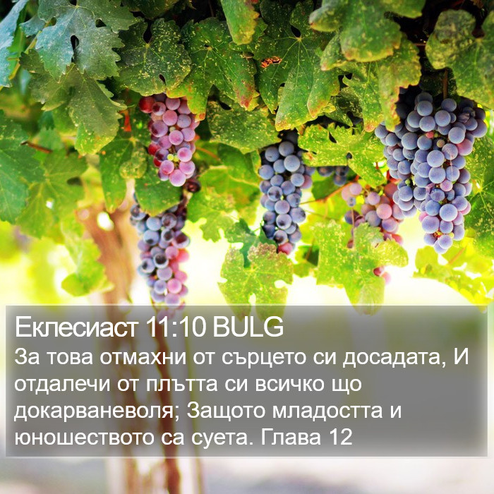 Еклесиаст 11:10 BULG Bible Study