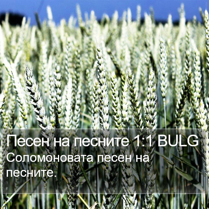 Песен на песните 1:1 BULG Bible Study