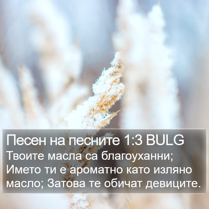 Песен на песните 1:3 BULG Bible Study