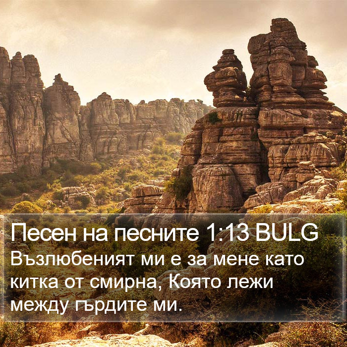 Песен на песните 1:13 BULG Bible Study