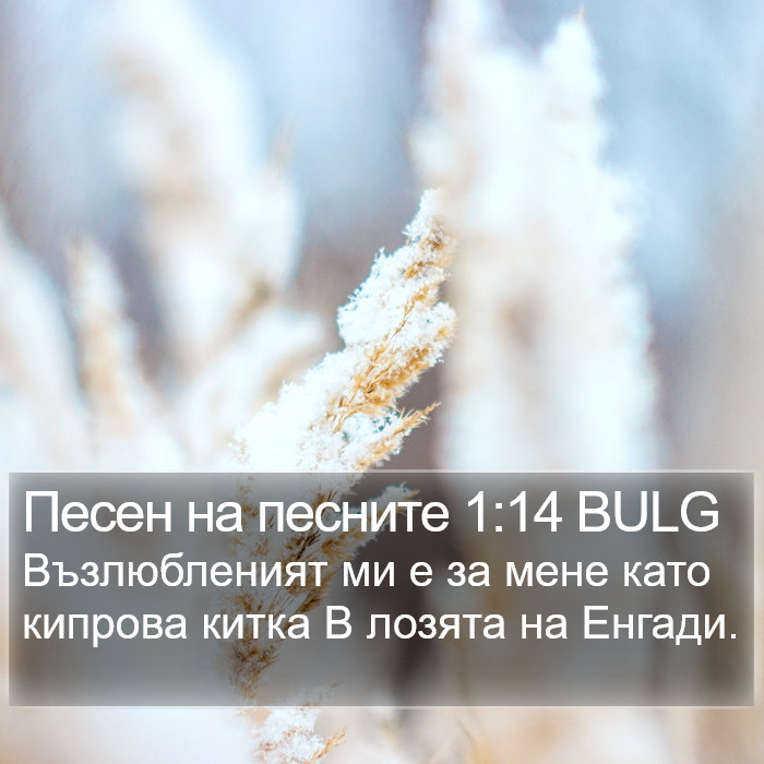 Песен на песните 1:14 BULG Bible Study