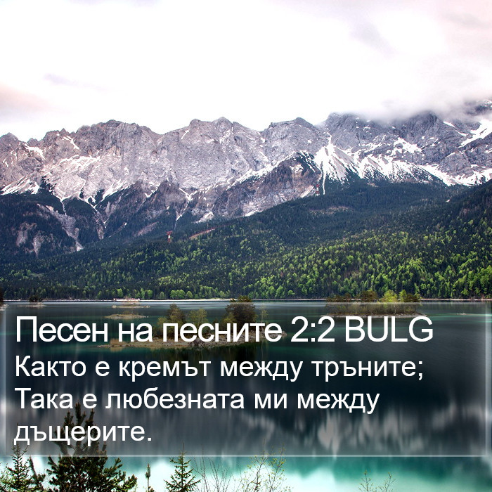 Песен на песните 2:2 BULG Bible Study