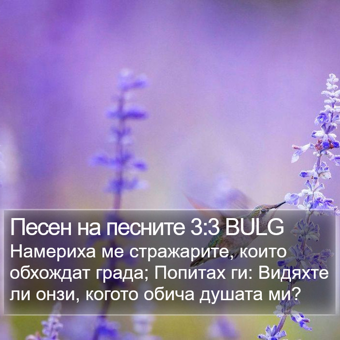 Песен на песните 3:3 BULG Bible Study