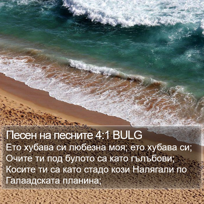 Песен на песните 4:1 BULG Bible Study