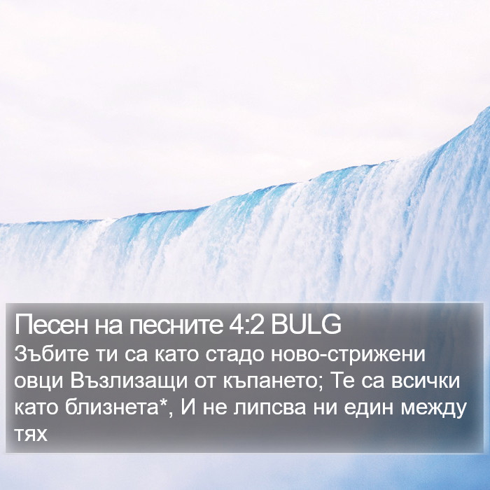 Песен на песните 4:2 BULG Bible Study