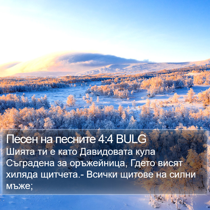 Песен на песните 4:4 BULG Bible Study