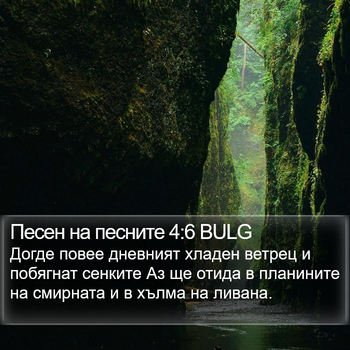 Песен на песните 4:6 BULG Bible Study