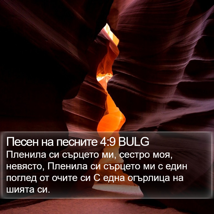 Песен на песните 4:9 BULG Bible Study