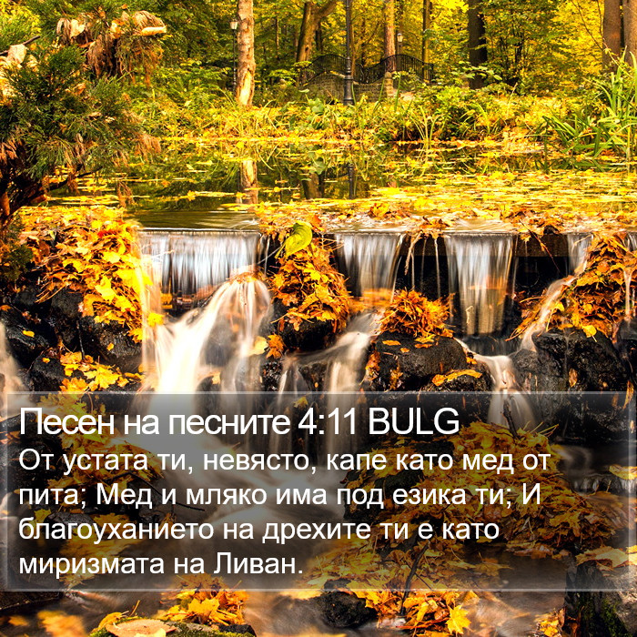 Песен на песните 4:11 BULG Bible Study