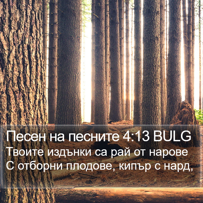 Песен на песните 4:13 BULG Bible Study