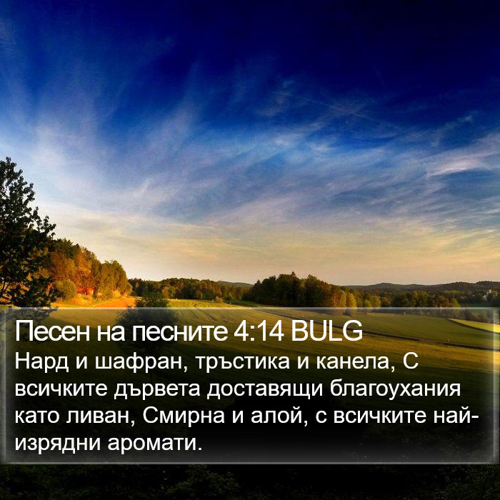 Песен на песните 4:14 BULG Bible Study