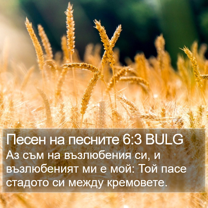 Песен на песните 6:3 BULG Bible Study