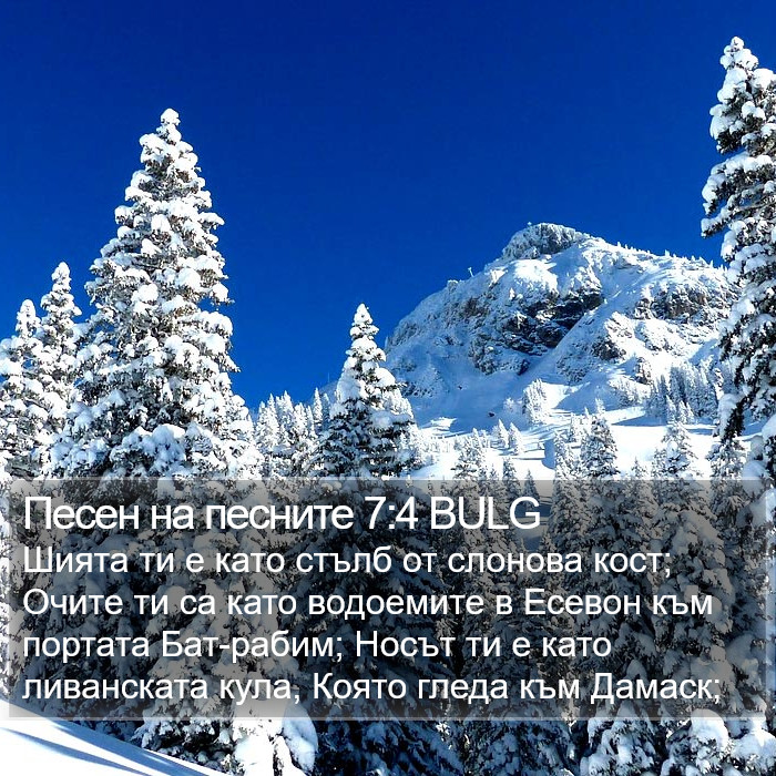 Песен на песните 7:4 BULG Bible Study