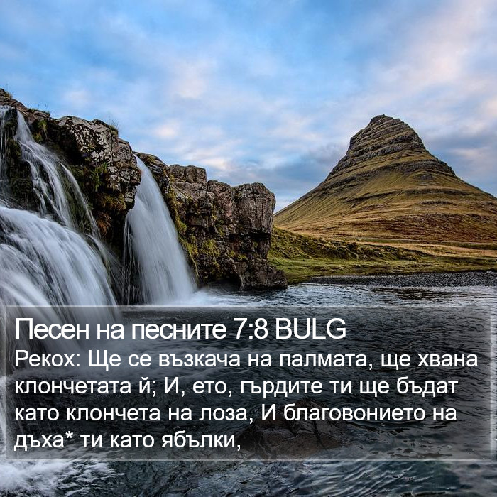 Песен на песните 7:8 BULG Bible Study