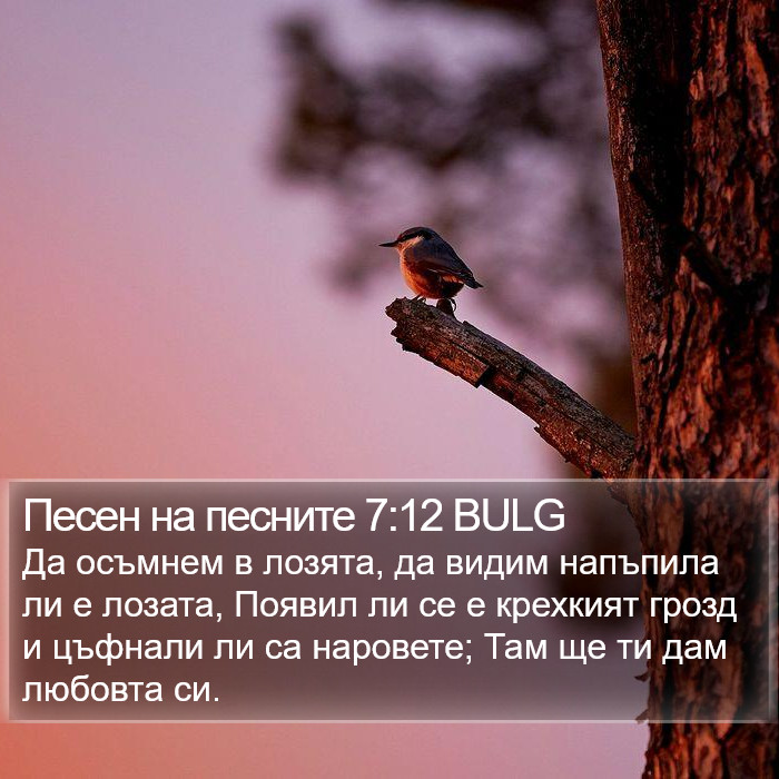 Песен на песните 7:12 BULG Bible Study