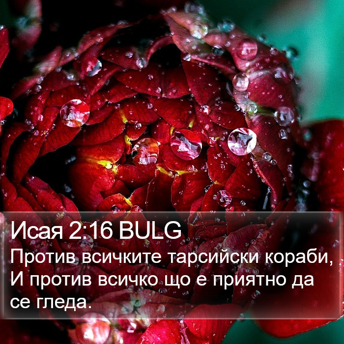 Исая 2:16 BULG Bible Study