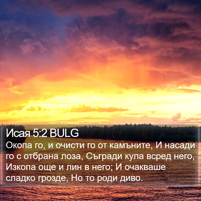 Исая 5:2 BULG Bible Study