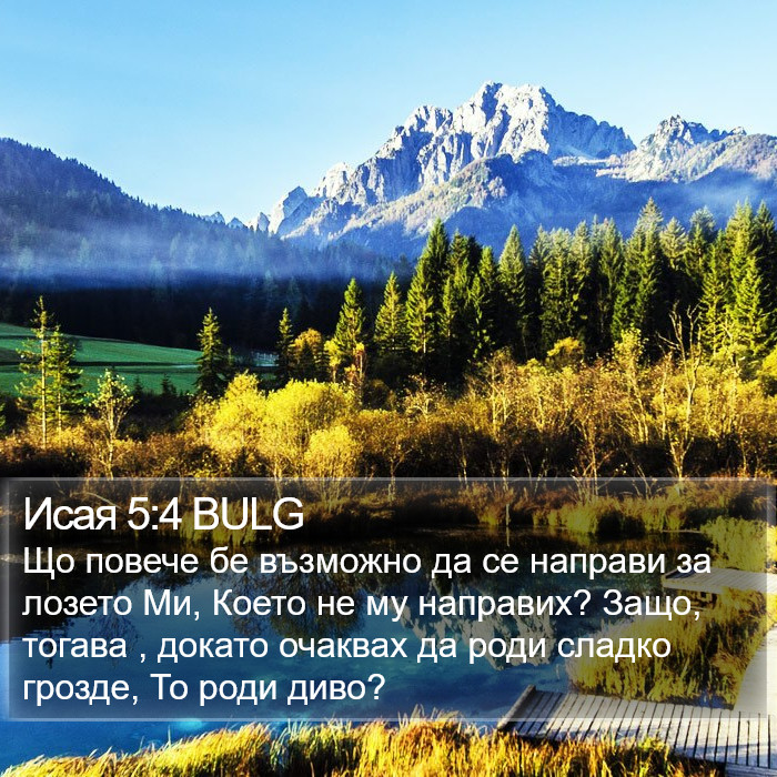 Исая 5:4 BULG Bible Study