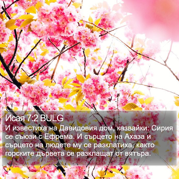 Исая 7:2 BULG Bible Study