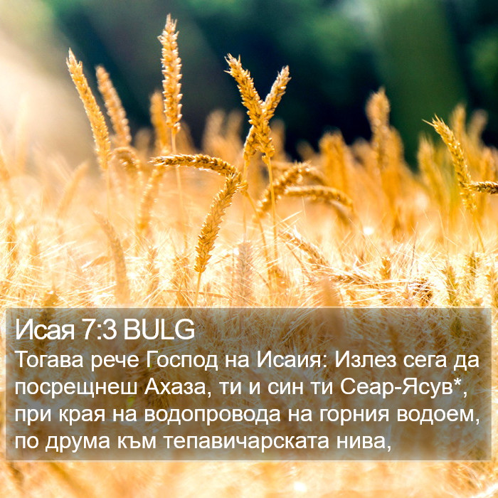 Исая 7:3 BULG Bible Study