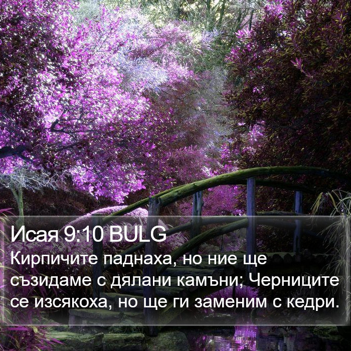 Исая 9:10 BULG Bible Study