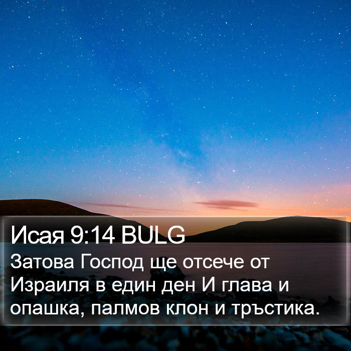 Исая 9:14 BULG Bible Study