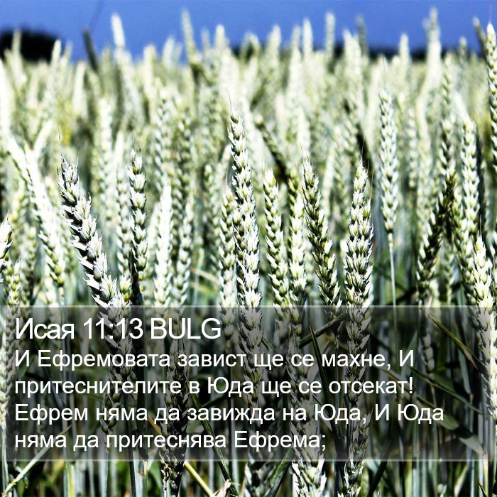 Исая 11:13 BULG Bible Study
