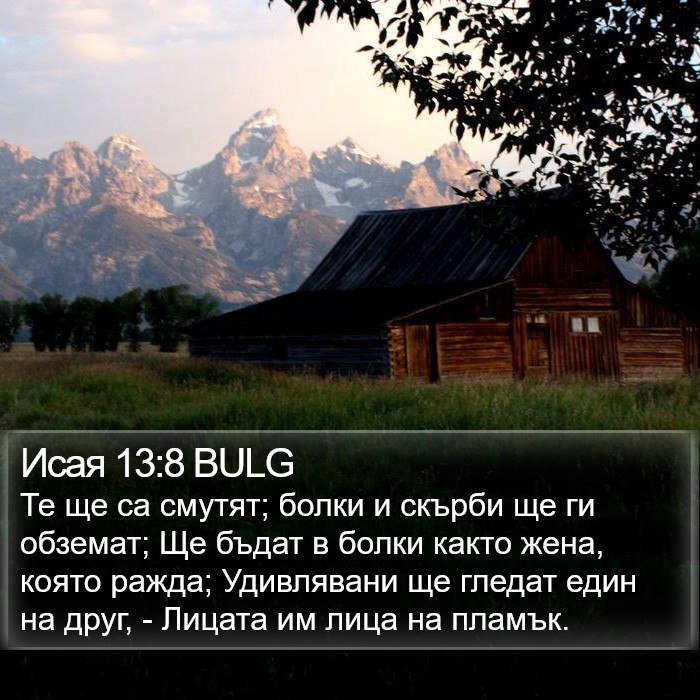 Исая 13:8 BULG Bible Study