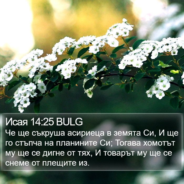 Исая 14:25 BULG Bible Study